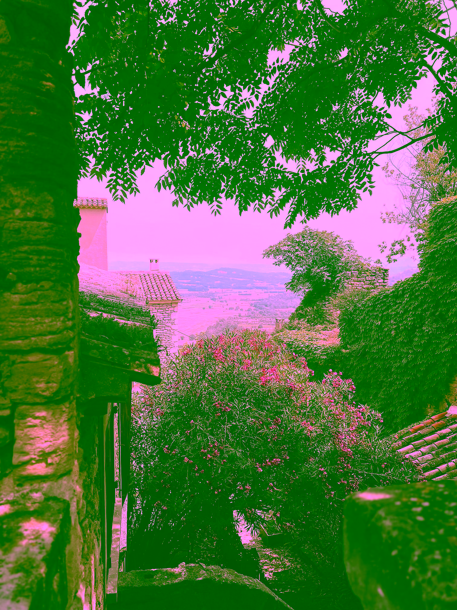 ree